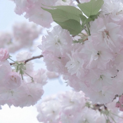 Furry插画氛围灵感兽圈社群